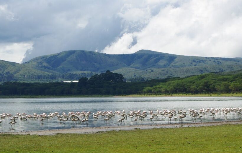 Lake Naivasha Self-drive 2Days 1Night